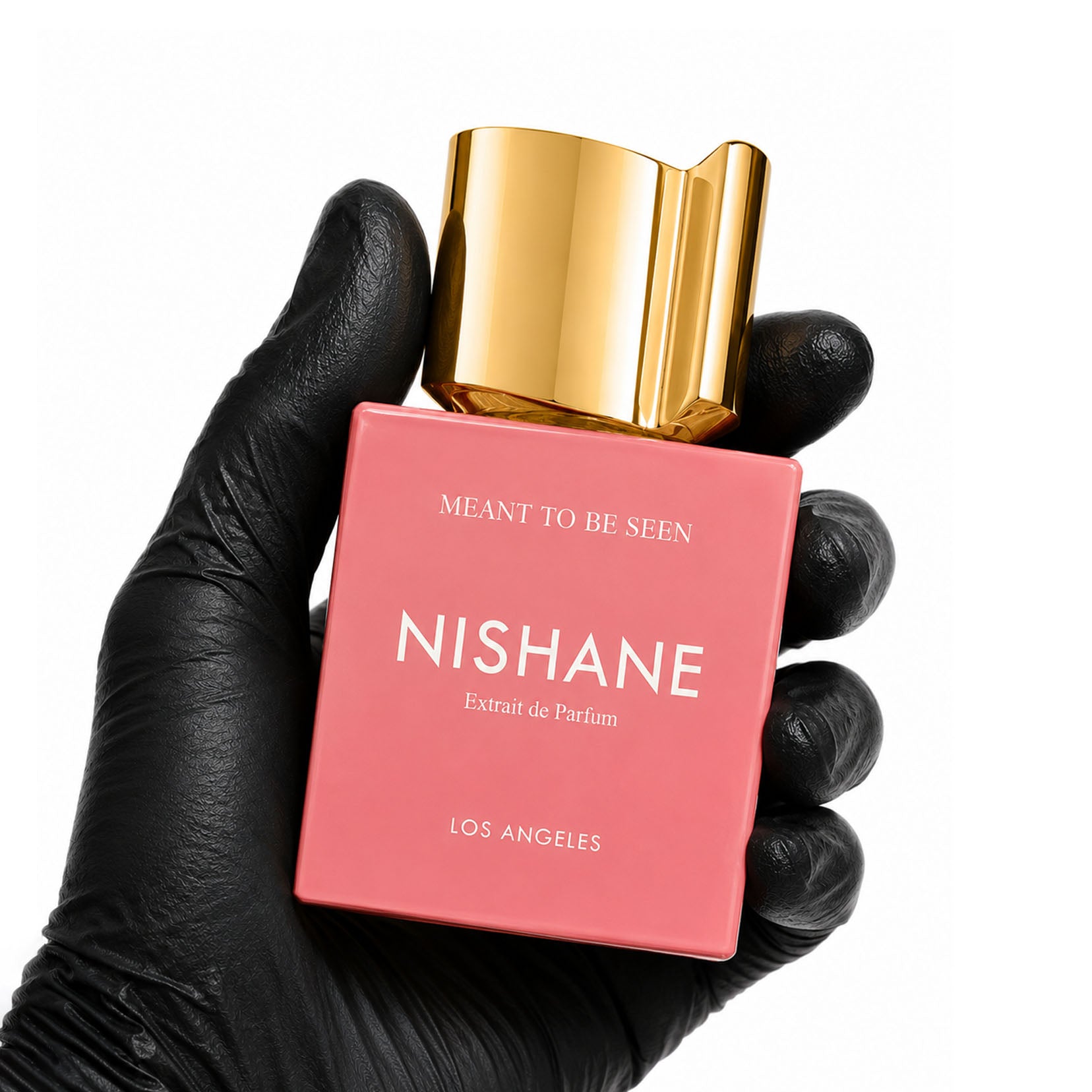 Nishane Meant To Be Seen edp retail bottle - Scent Index